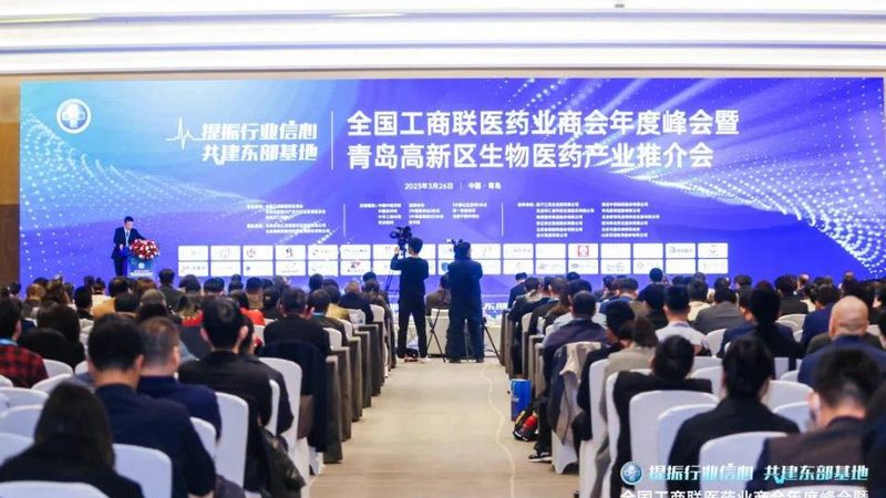 上海本地药用辅料公司：揭秘辅料在现代制药中的应用