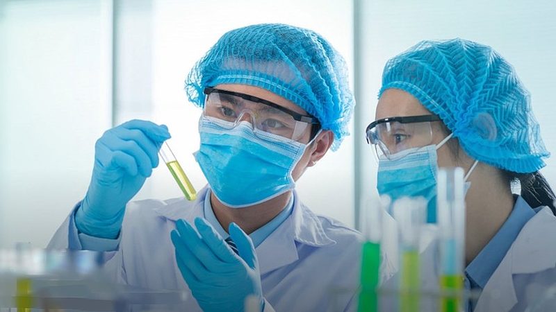 植物提取物：功效与优缺点的深度解析