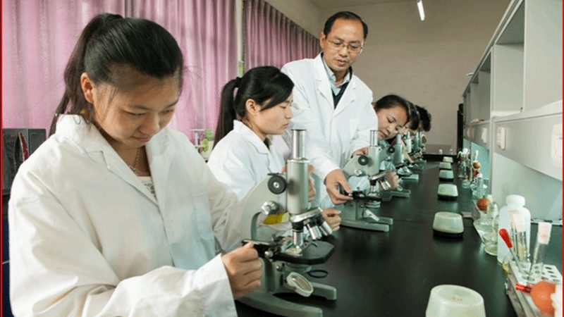 中药饮片出口报关需要哪些资料