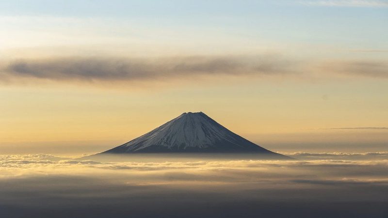 医药原料怎么选不踩坑