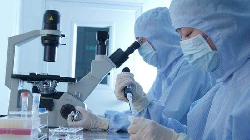 医药公司生产厂家直销资质要求揭秘**