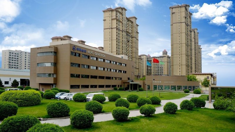 山东原料药市场价：揭秘其背后的影响因素